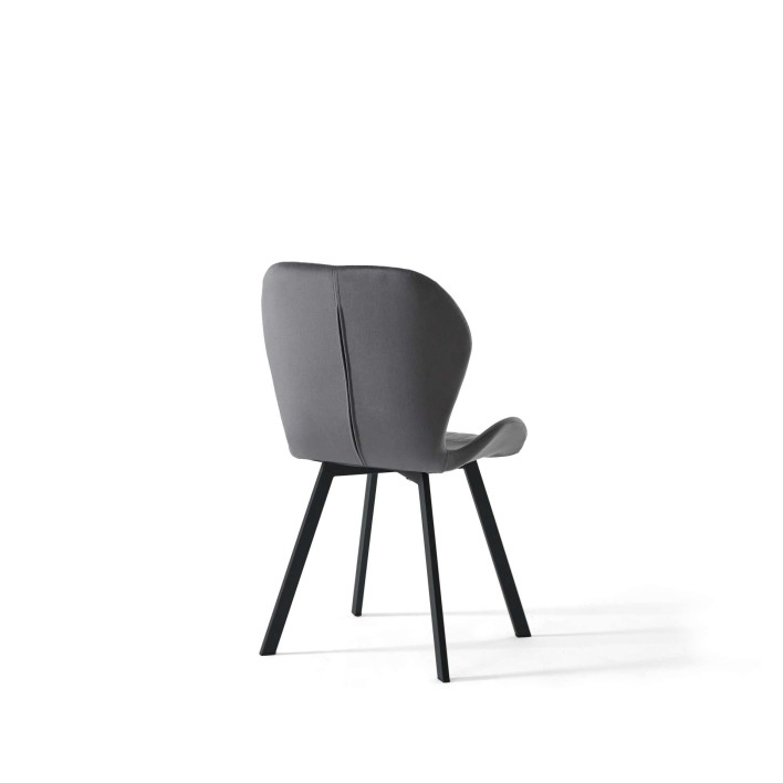grey back.JPG