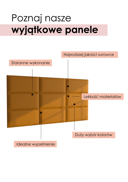 panel1_Obszar roboczy 1.png