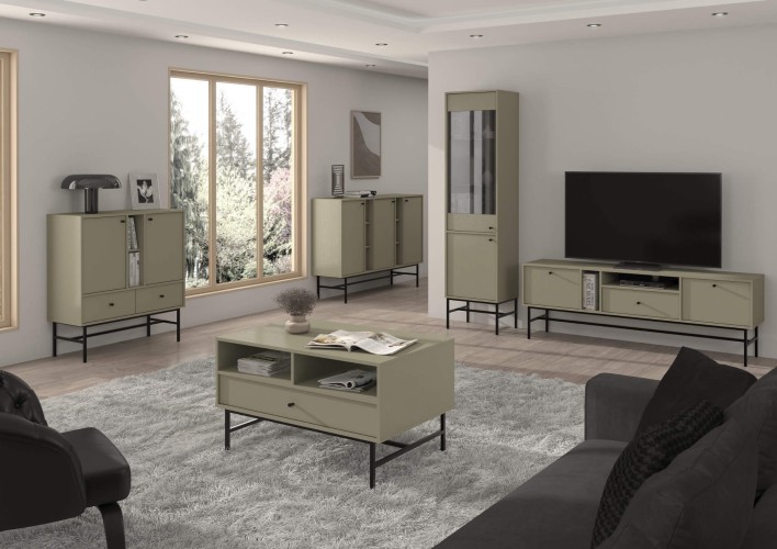 TOKYO 3 - KOMODA 825+822, WITRYNA 101, RTV 313, STOLIK 201 EUCALIPTUS.jpg