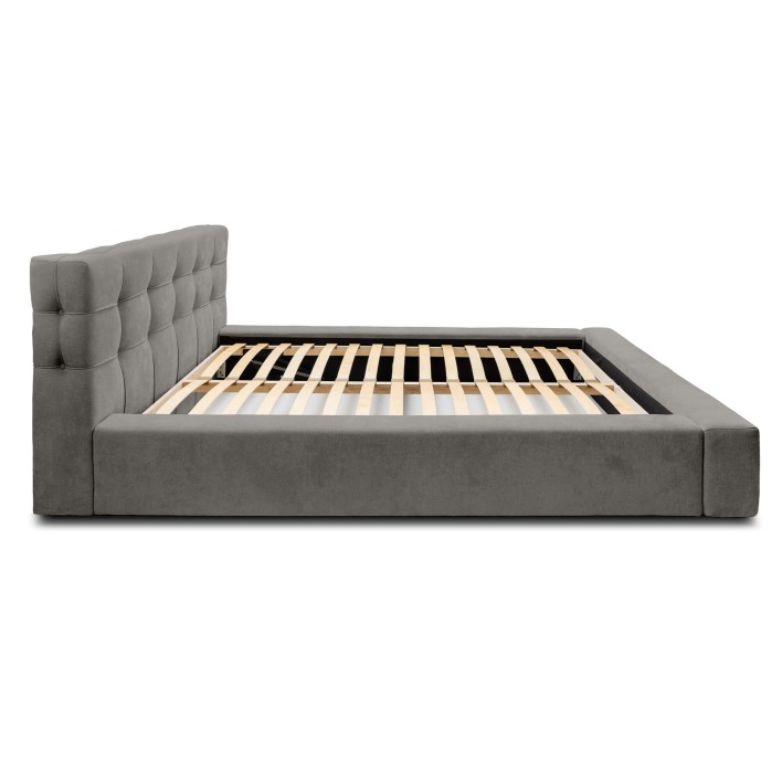 GRACE 3 (ditra new 15).jpg