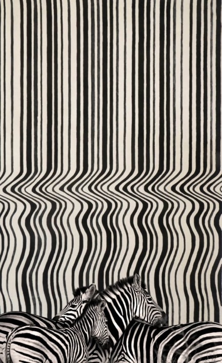 DRAFT dywan z wełną czarnobiały.jpg