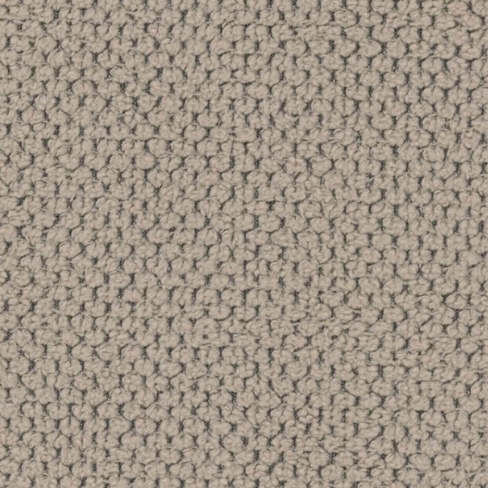 Curio-11.jpg