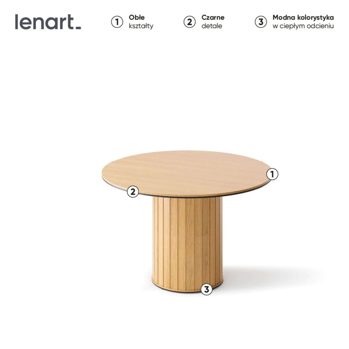 _Kadrowane 2000x2000 (1)_0001_RT-09-funkcjonalne-PL.jpg