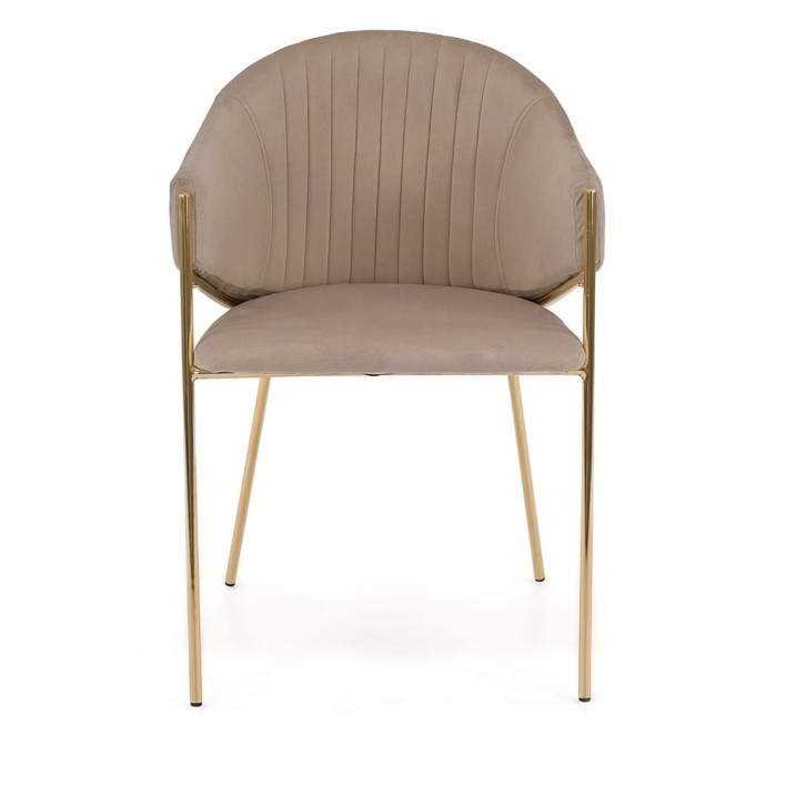 103969-2.jpg