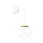 OGNIS K1 WHITE-1