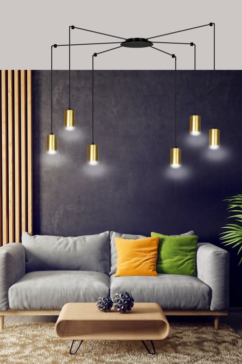 TRAKER 6 BL/GOLD