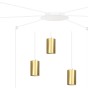 TRAKER 6 WH/GOLD-4