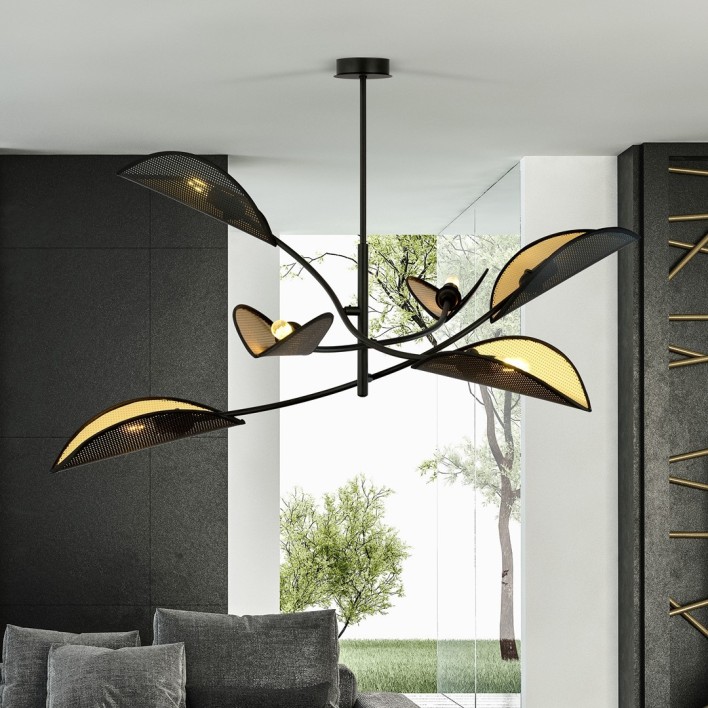 LOTUS 6 BLACK/GOLD