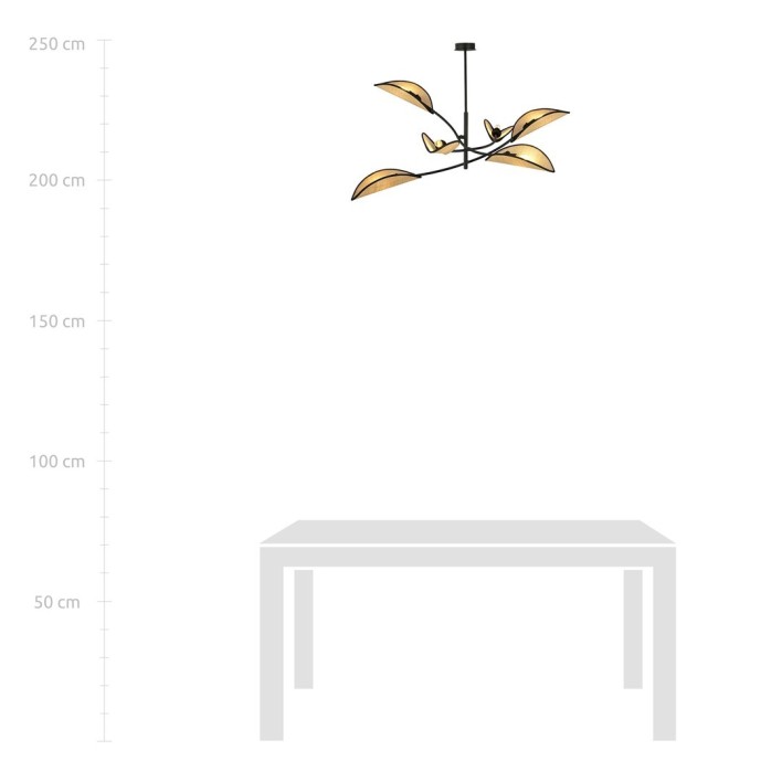 LOTUS 6 BLACK/RATTAN