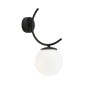BOSTON K1 BLACK/OPAL-2