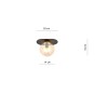 PLAZA 1 BLACK/MIODOWY-6
