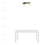 PLAZA 2 BLACK/MIODOWY-7