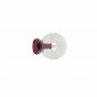 MAGNUS K1 BURGUND TRANSPARENT-1