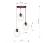 ISTAR 3PREM BURGUND TRANSPARENT-3