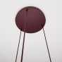 COSMO 3PREM BURGUNDY TRANSPARENT-3