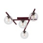 SMART 4 BURGUNDY TRANSPARENT-1
