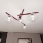 SMART 4 BURGUNDY TRANSPARENT-3