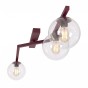 NATON 3 BURGUNDY TRANSPARENT-4