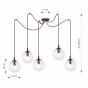 GIGI 5 BURGUNDY TRANSPARENT-3