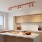 FLASH 6 CORAL-4