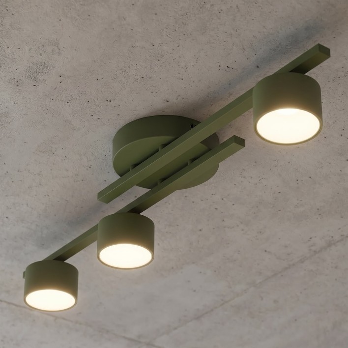 FRAGMENT 3 OLIVE GREEN