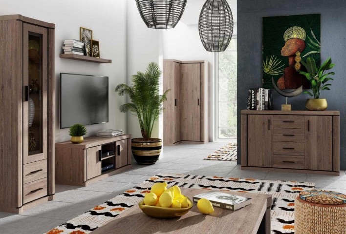 Szafka RTV D-11 DALLAS dąb sonoma / dąb truflowy