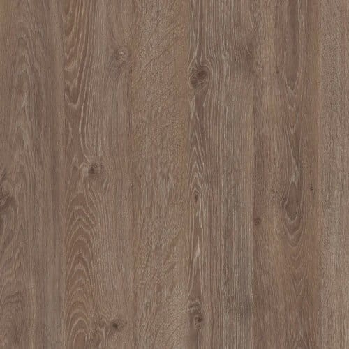 Szafa D-21 DALLAS dąb sonoma / dąb truflowy